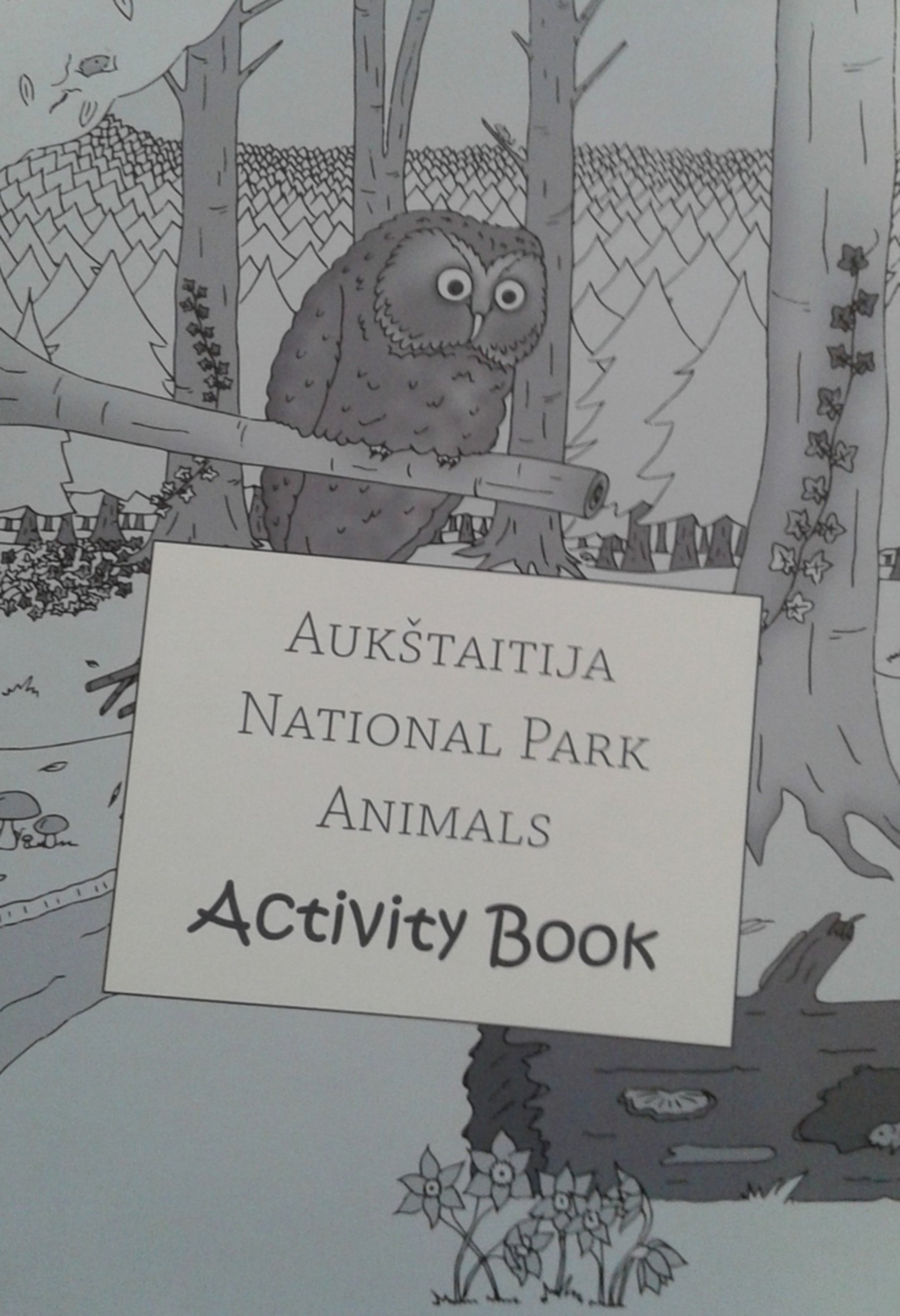 Aukštaitija National Park Animals Activity Book 