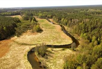 Nometne "Zaļie stāsti"