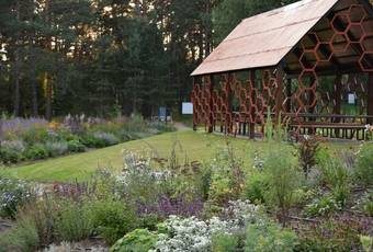 ISTORINIŲ AUGALŲ SODAS - BIBLIOTEKA