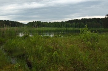 Ignalina-Palūšė-Ladakalnis