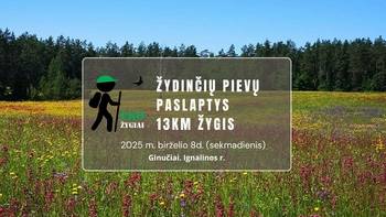 Eko žygiai: Žydinčių pievų paslaptis