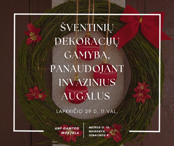 Šventinių dekoracijų gamyba panaudojant invazinius augalus