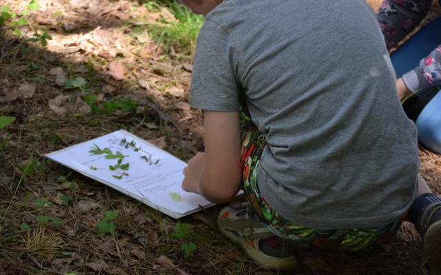 Įvyko projekto “Green Stories” komandos tarptautiniai mokymai apie botanikos sodų kūrimą, jų priežiūrą ir galimybes