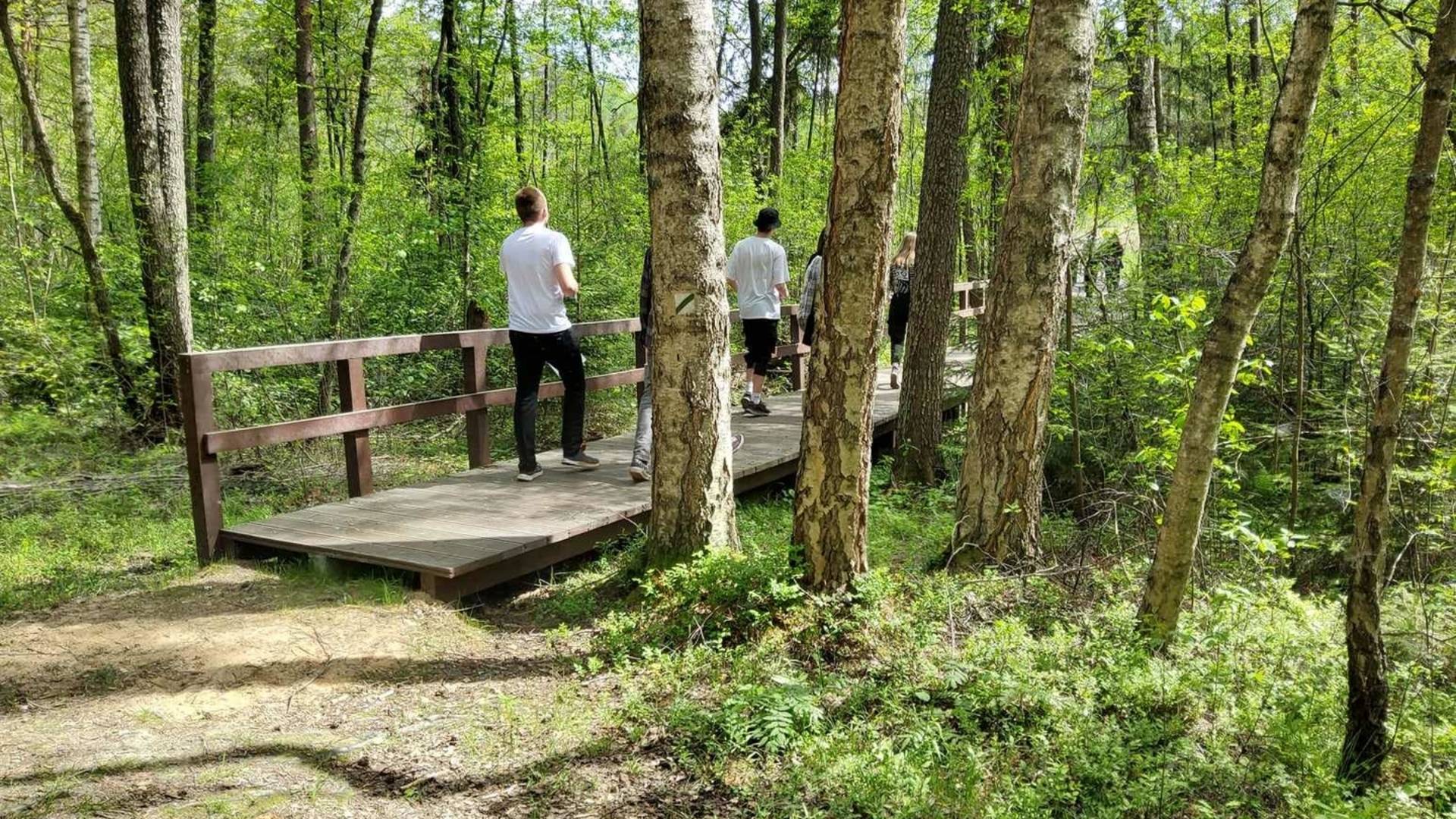 Educational - orientation game "In the footsteps of nature" (a program financed by the cultural passport)