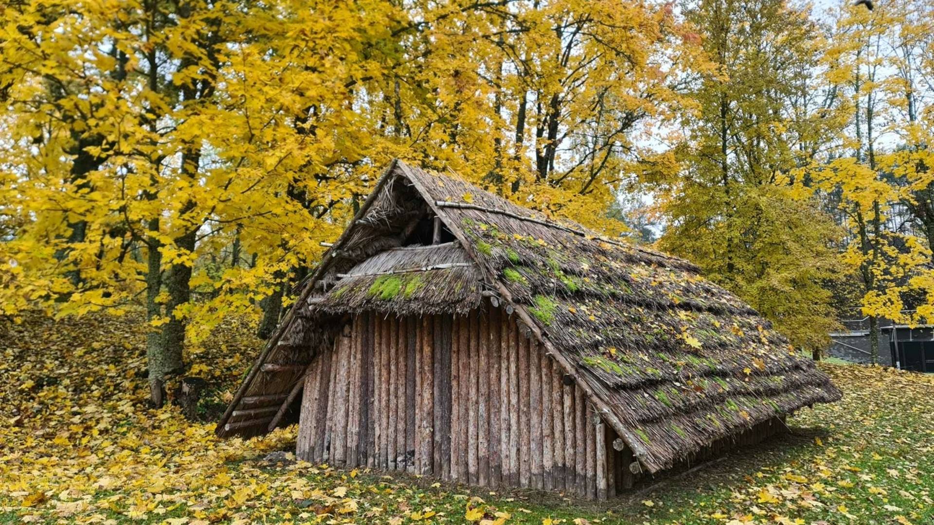 Pilkapio ekspozicija ir akmens amžiaus būstas