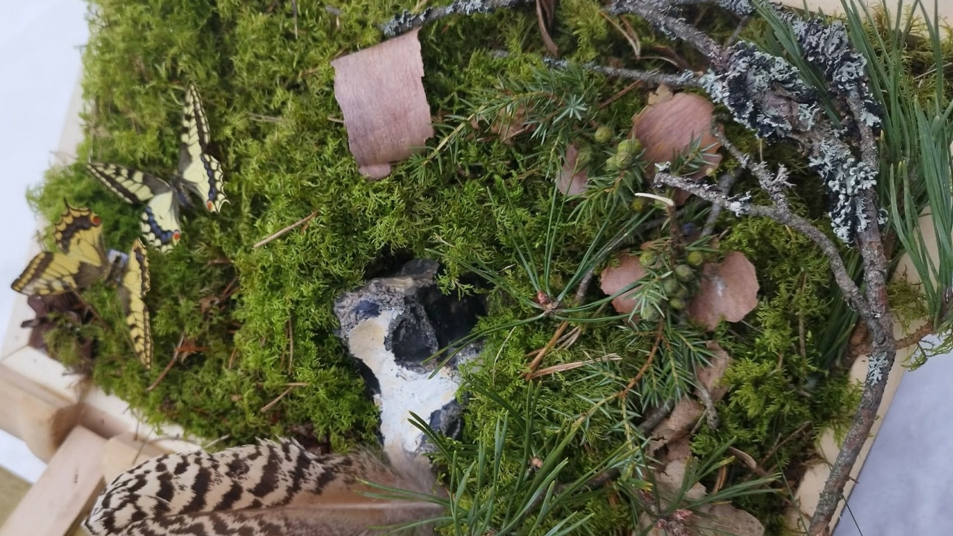 Образовательная программа «Природа Аукштайтии своими ощущениями»