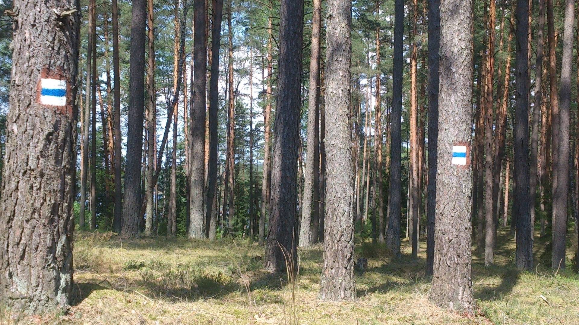 Западное синее кольцо для пешеходов и велосипедистов