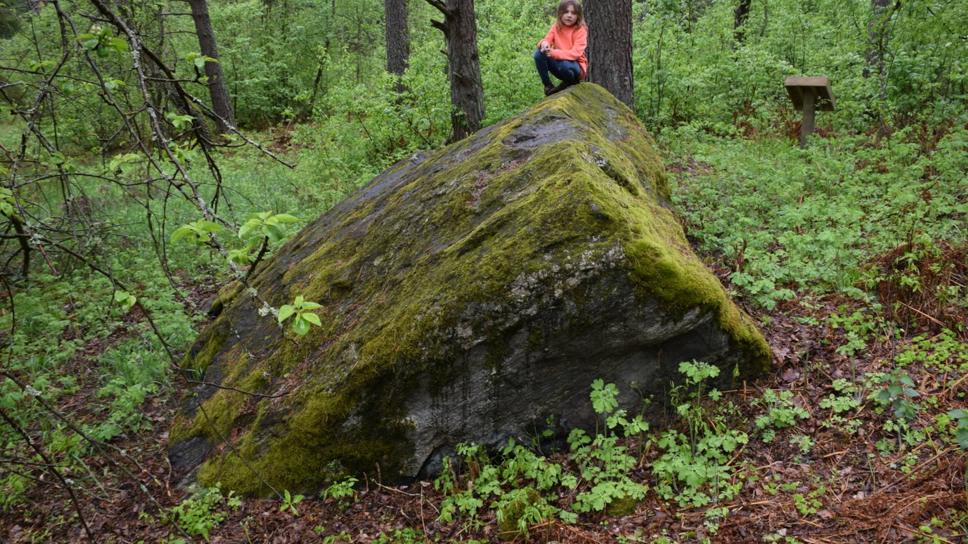 Pakretuone stone