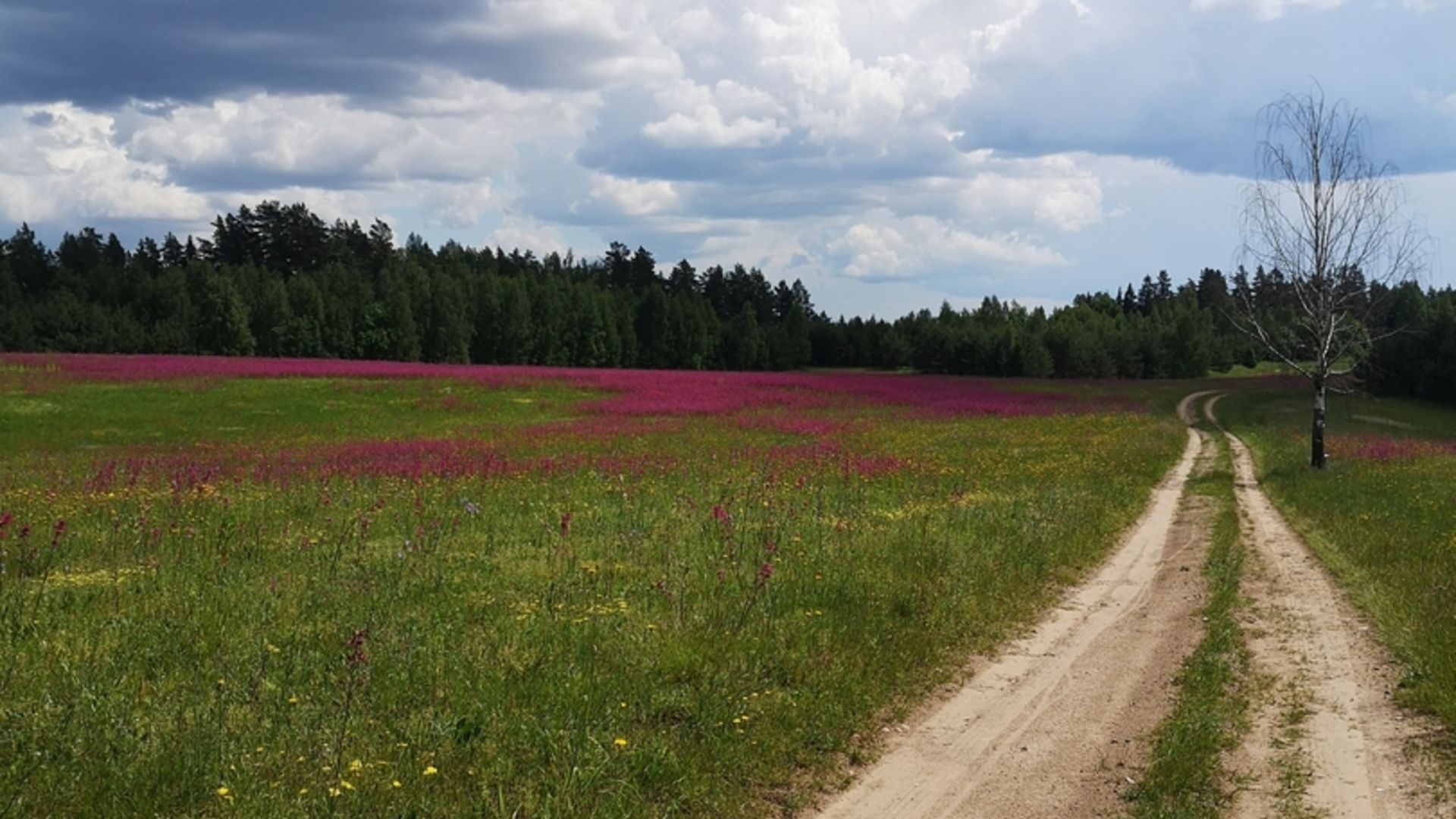 Dviračiu nuo Palūšės iki Tauragnų