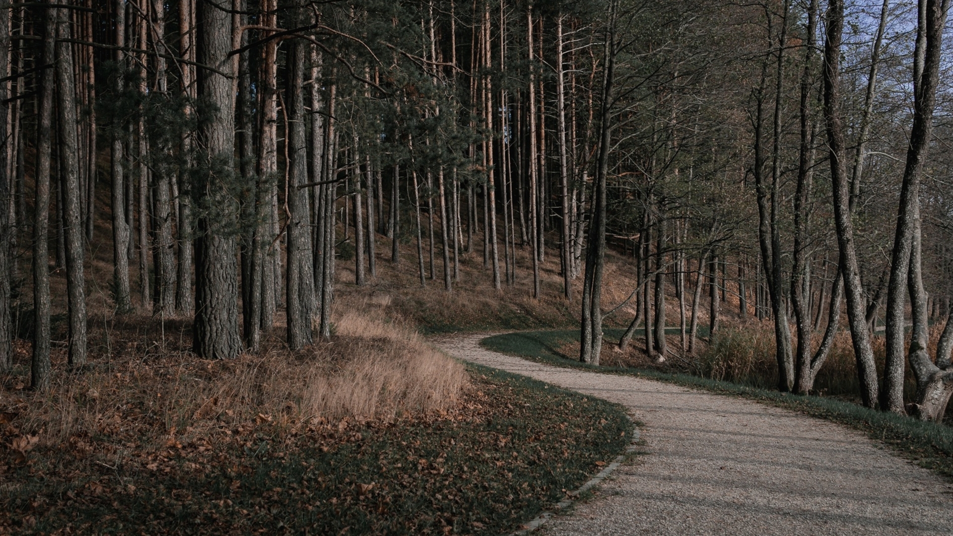 Meironys nature trail