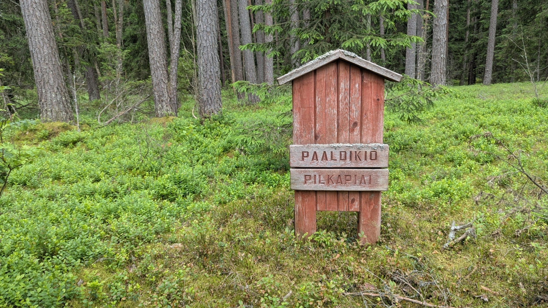Paaldikis Burial Ground