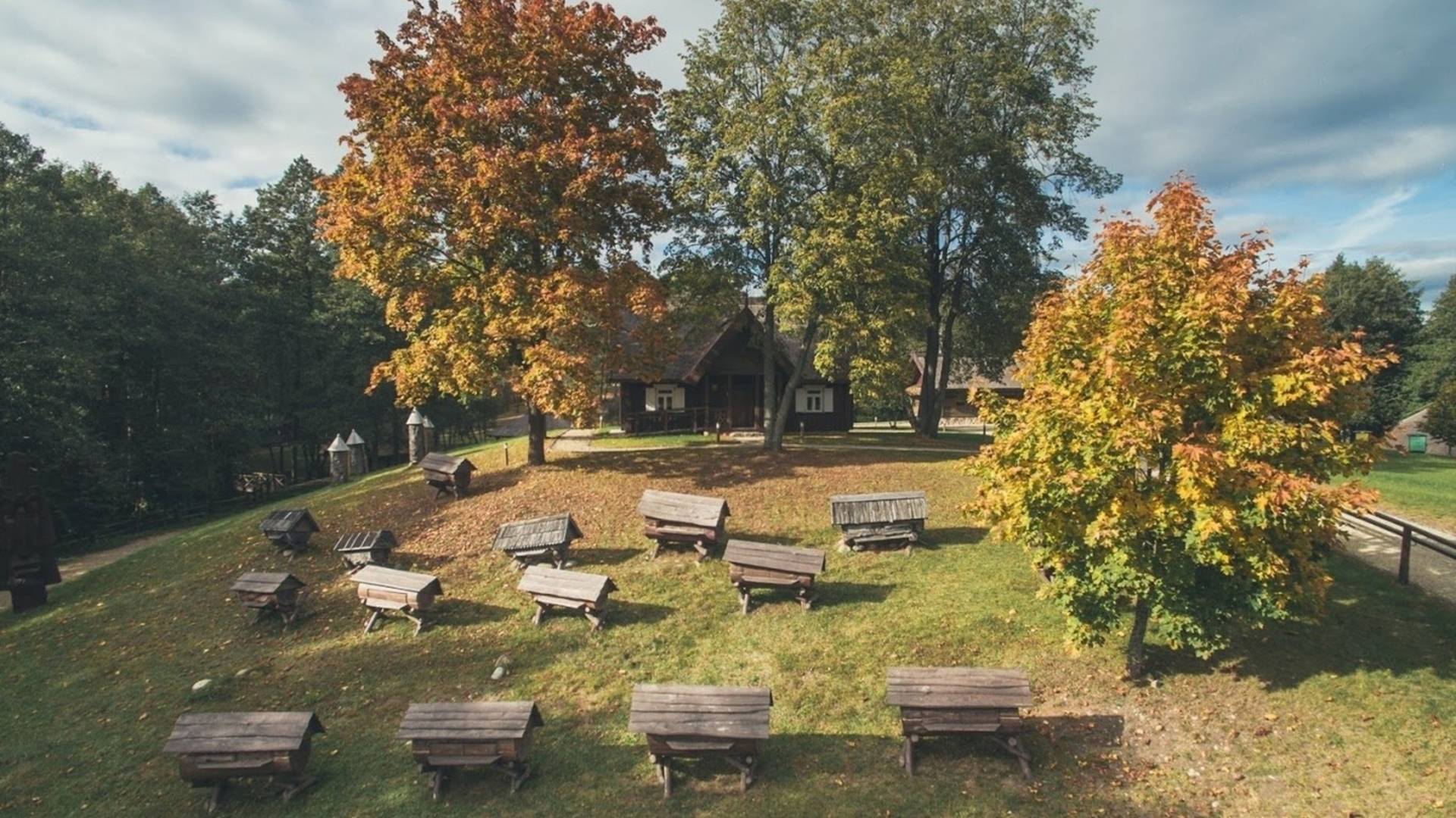 Senovinės bitininkystės muziejus