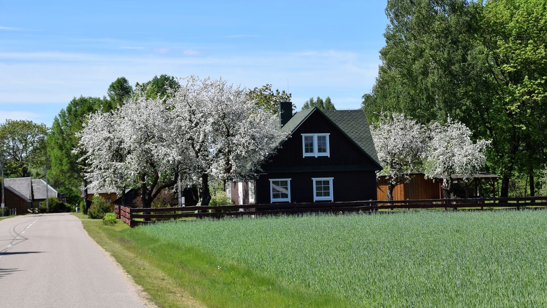 P2 Wandertour „Palūšė - Strigailiškis"