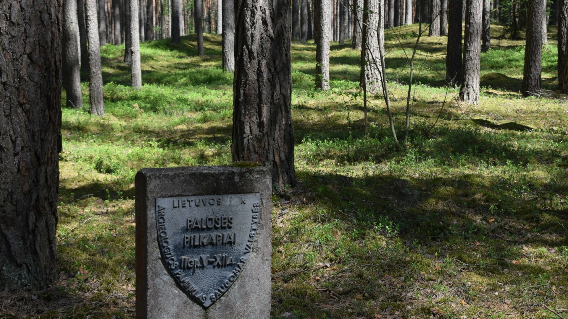 Palūšės pilkapynas II