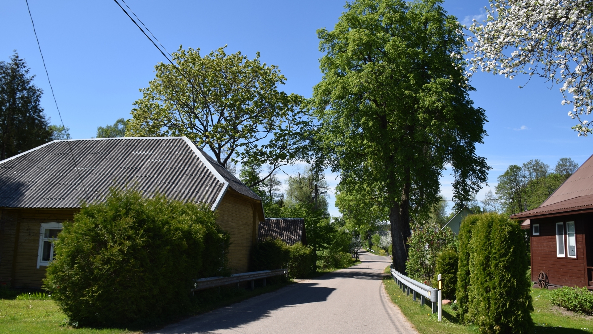 P2 hiking route "Palūšė - Strigailiškis"