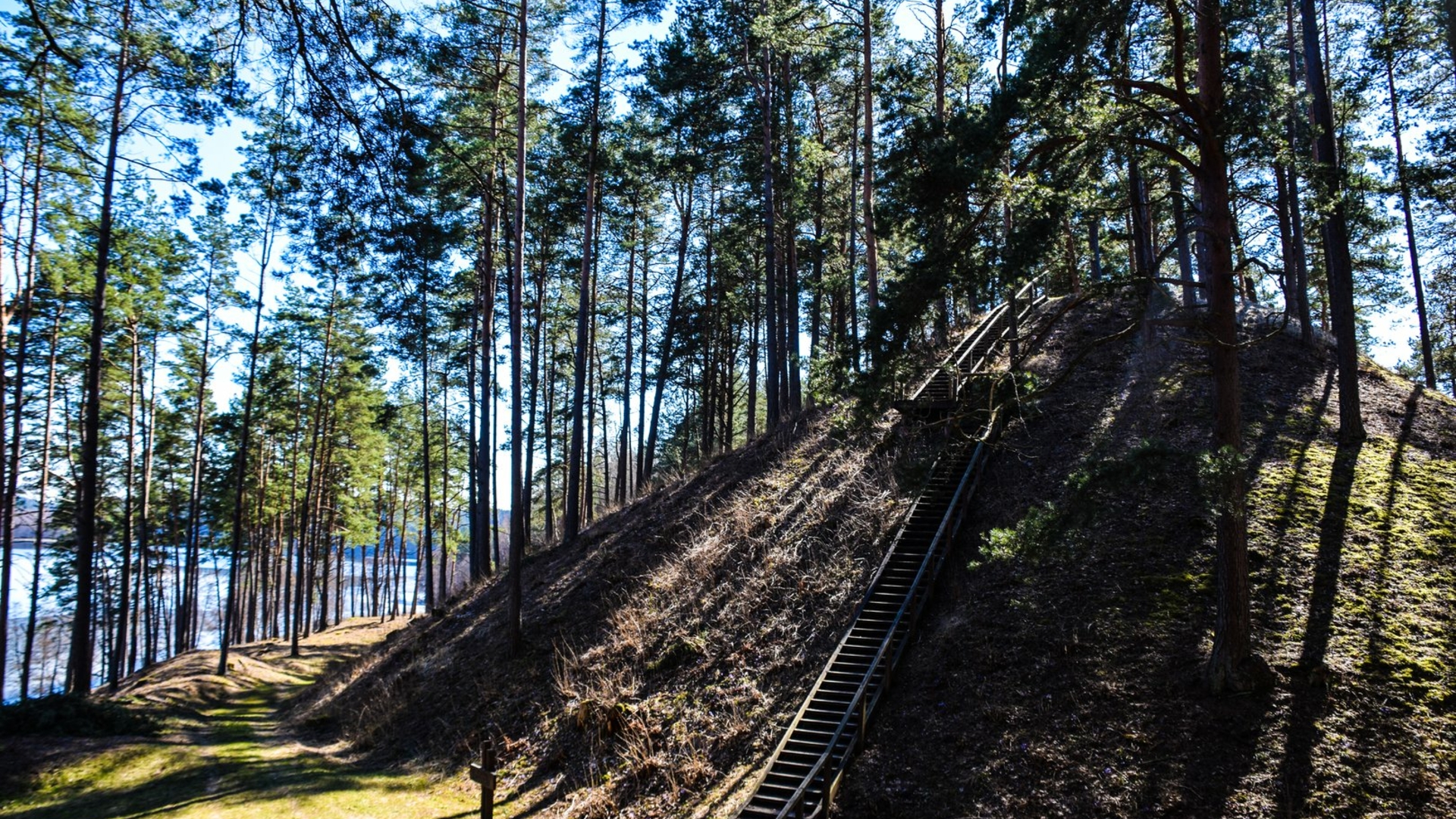 Hügel Ginučiai und Papiliakalnė