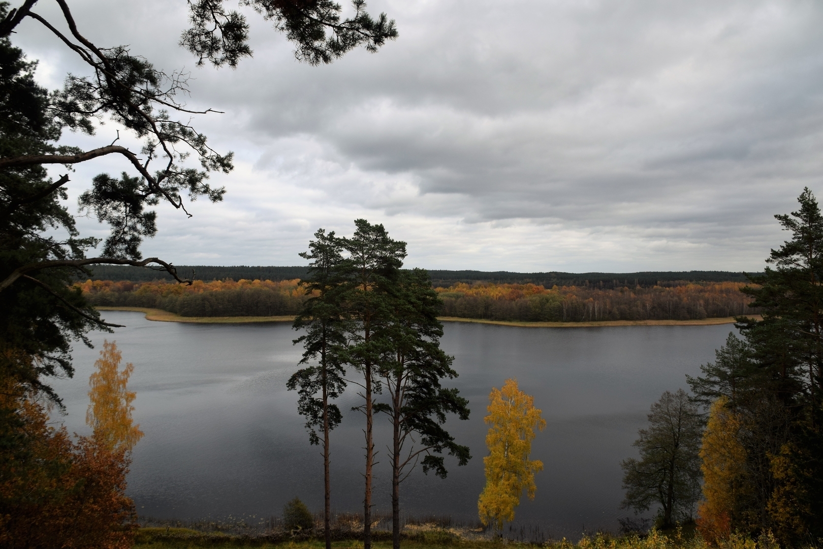 P6 hiking route "Palūšė - Ginučiai"