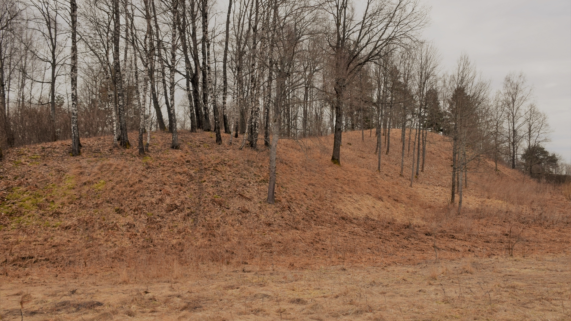 Tauragnai mound