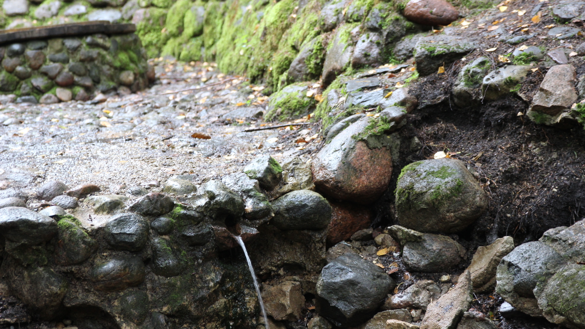 Medžiukalnis spring