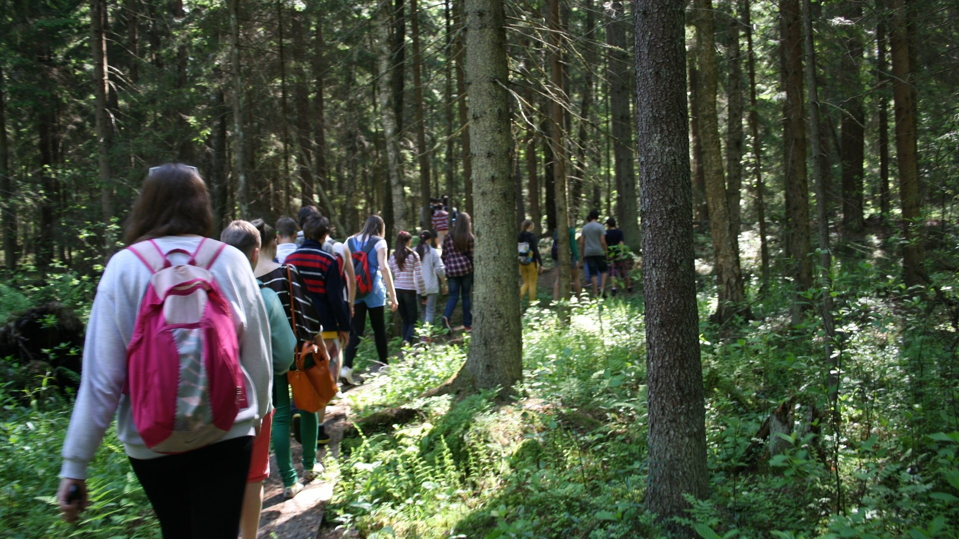 Labanoras Wald kognitiver Weg