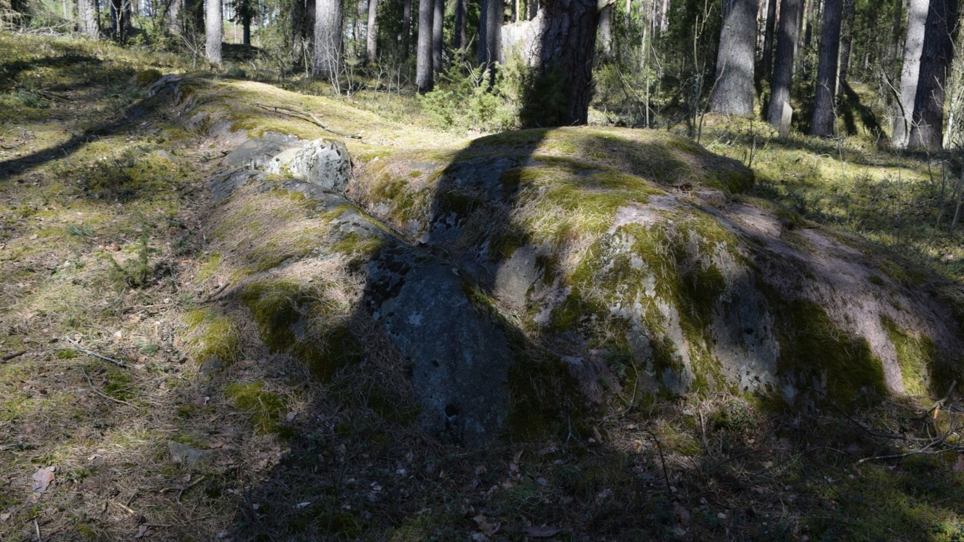 Lakaja Stein