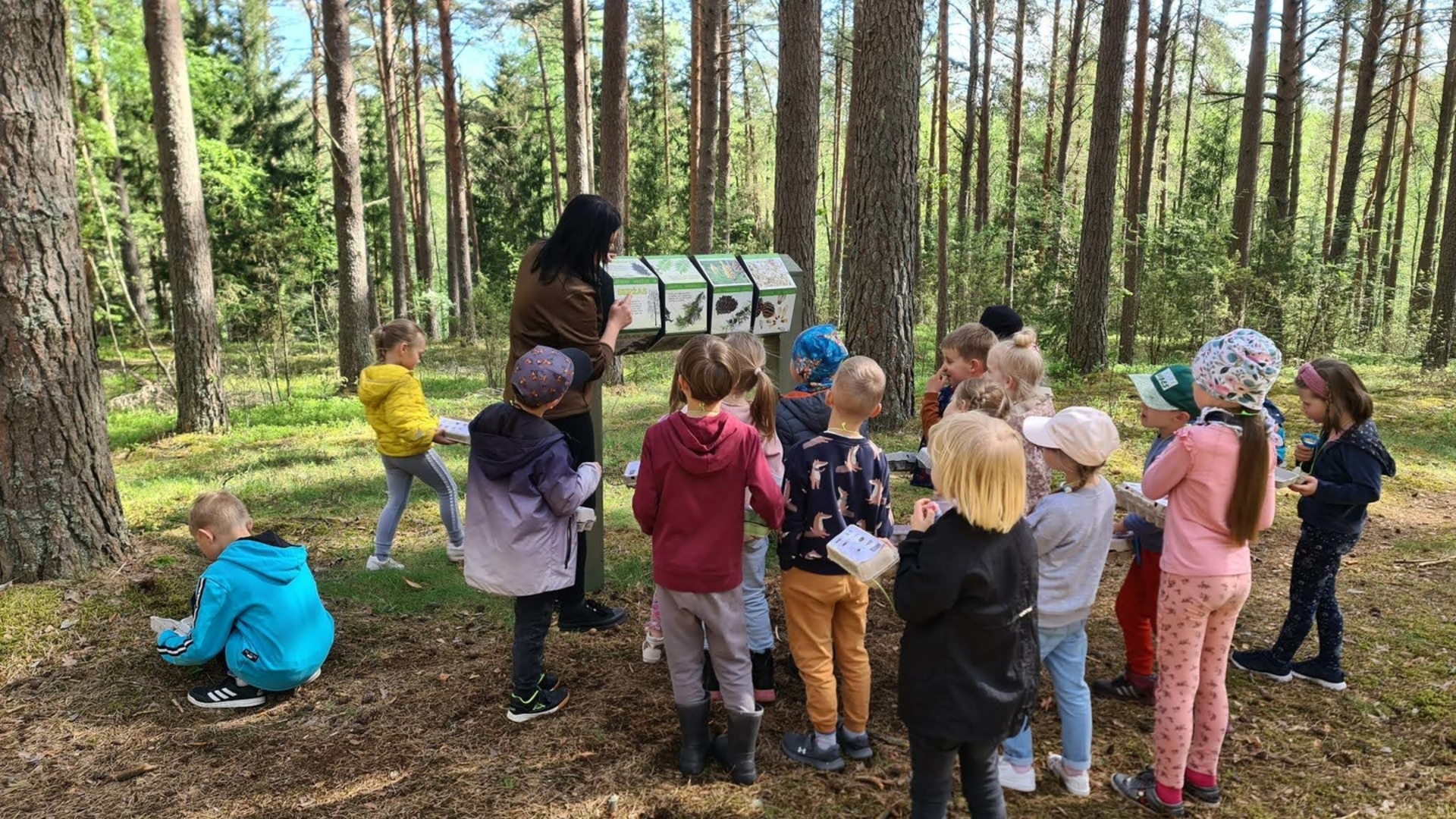 Образовательная программа «По следам природы: для маленьких искателей приключений»