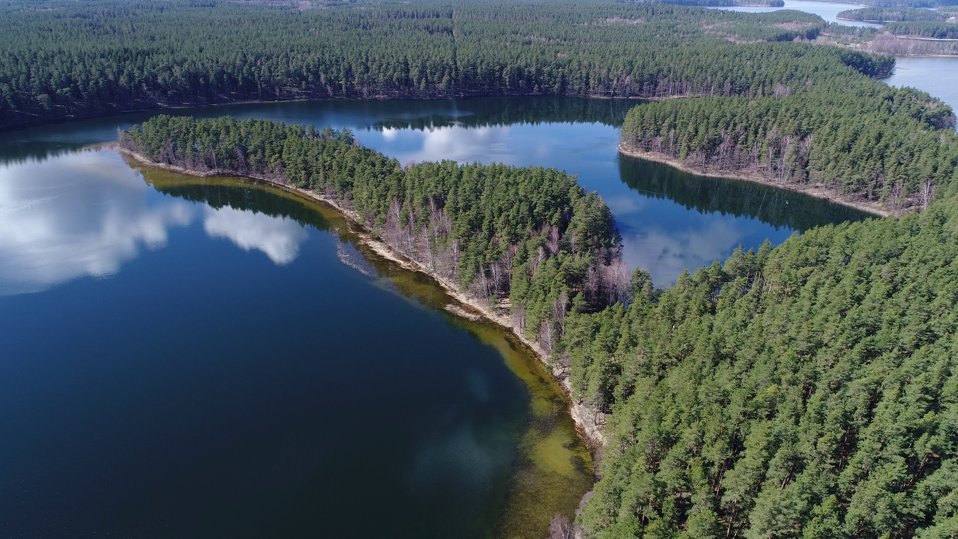 Peninsula "Ščiūrio ragas"